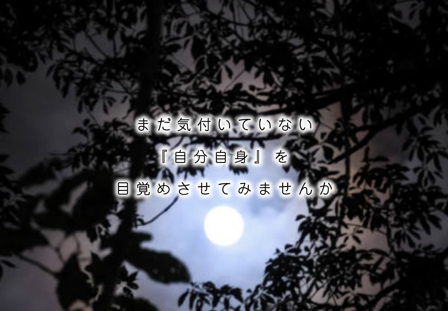 まだ気付いていない『自分自身』を目覚めさせてみませんか
